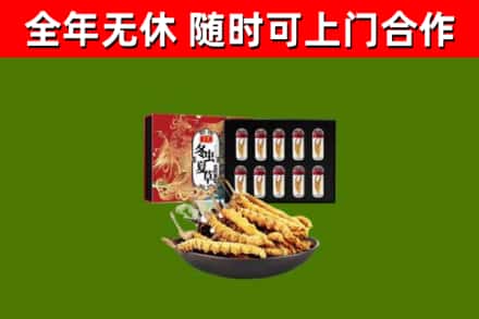 海棠回收冬虫夏草价格